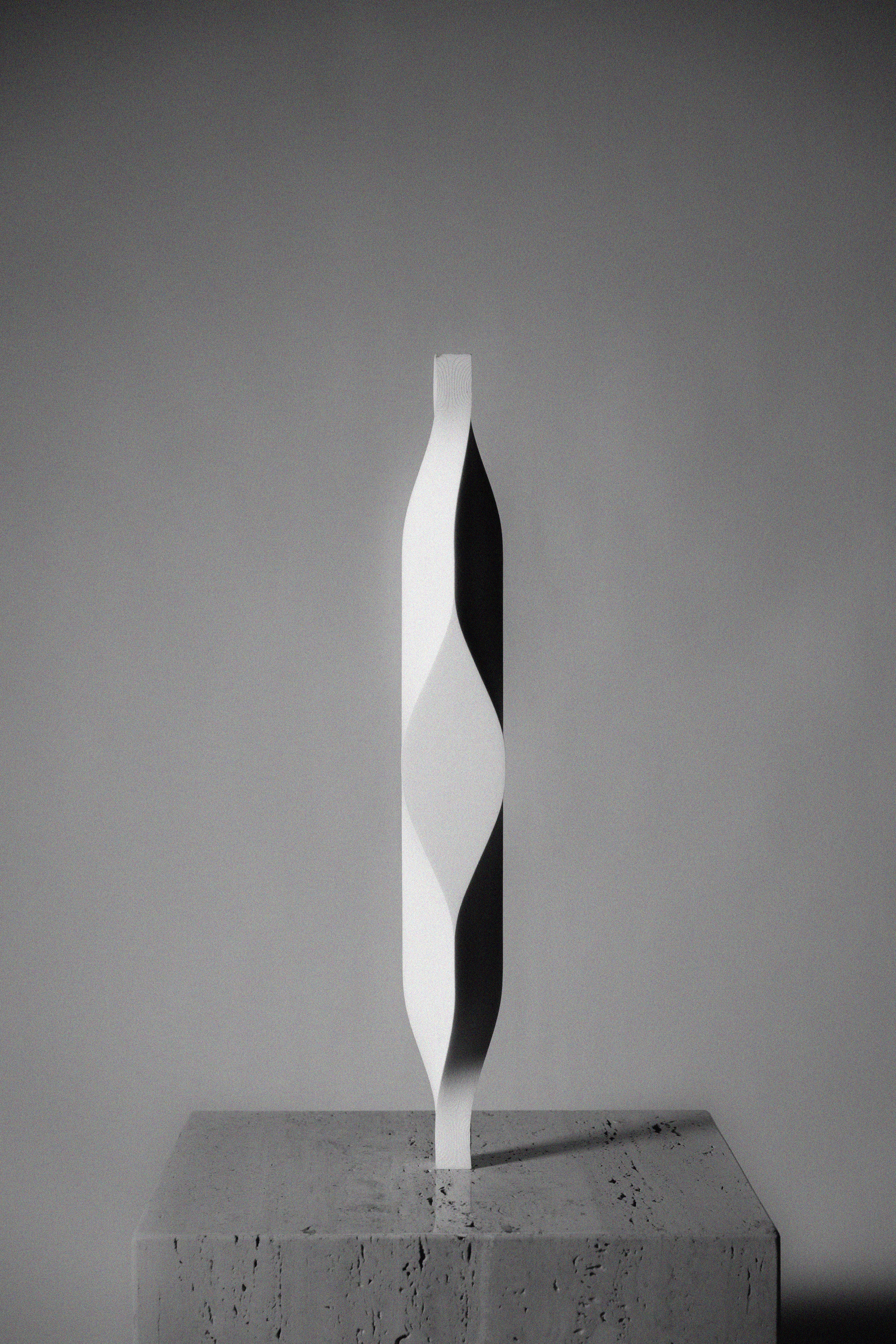 Light, Darkness and the Tree Type B, 2015, Image courtesy of Se Yoon Park