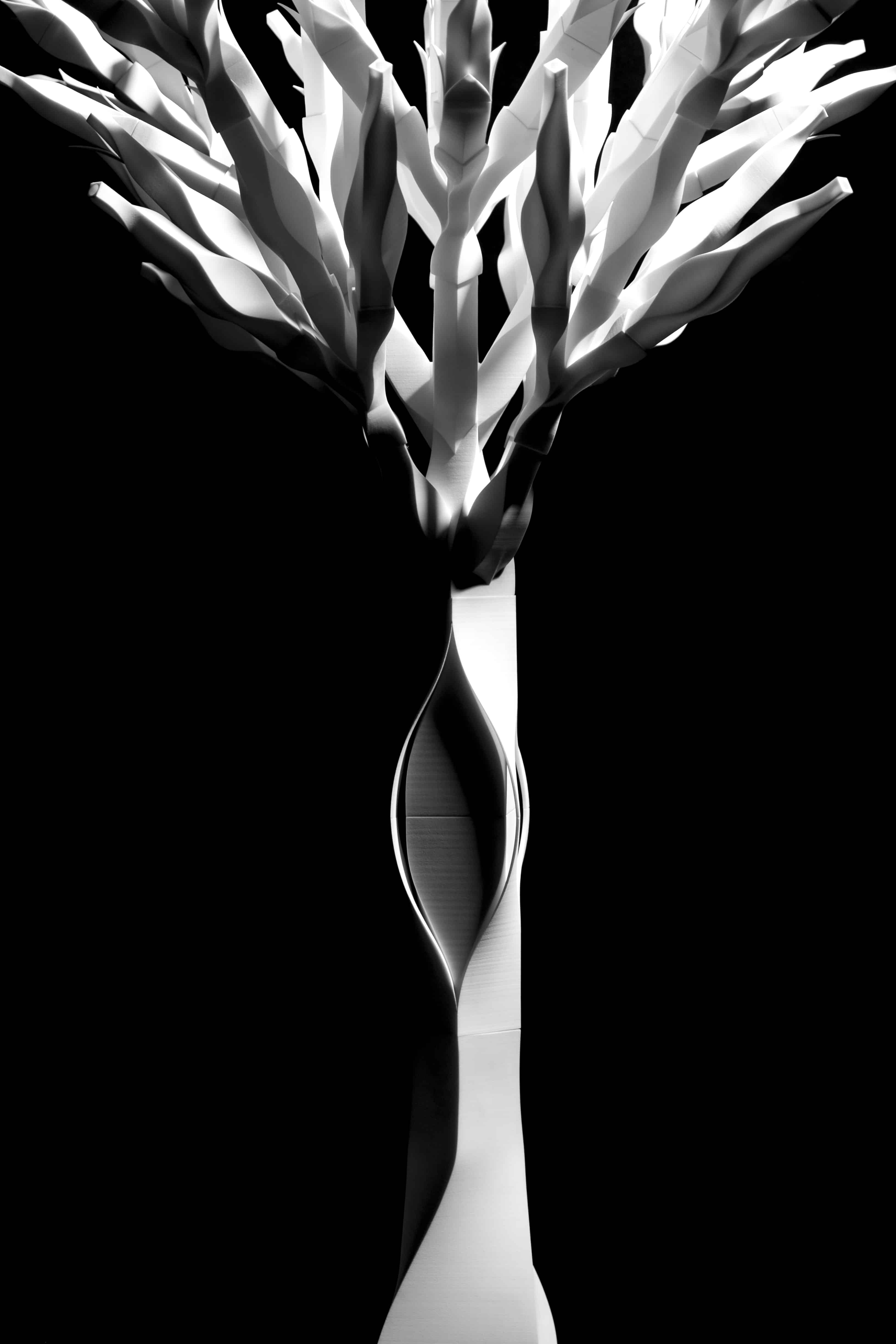 Light, Darkness and the Tree, 2015, Image courtesy of Se Yoon Park