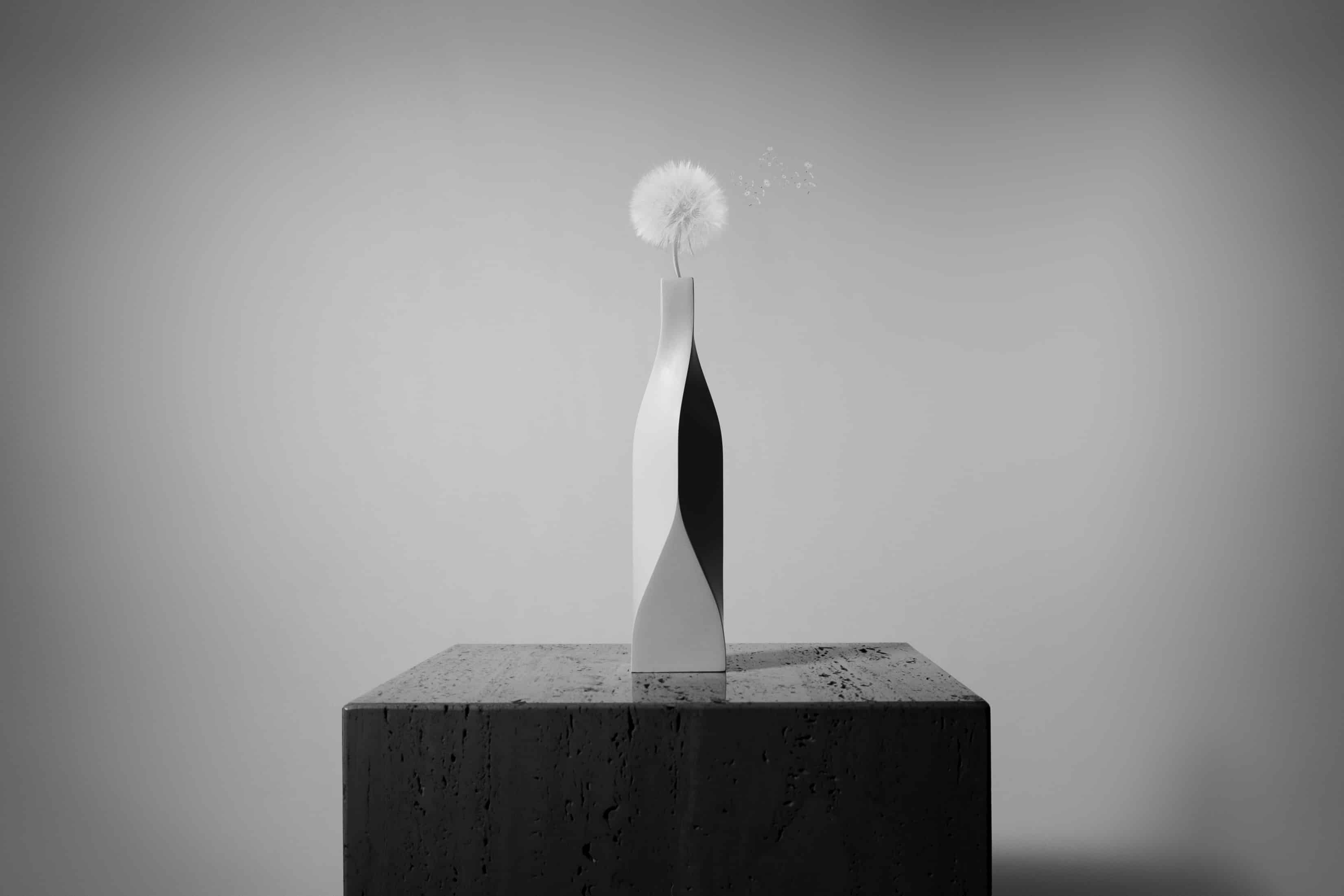 Light, Darkness and the Tree Type A, 2015, Image courtesy of Se Yoon Park